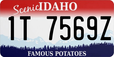 ID license plate 1T7569Z