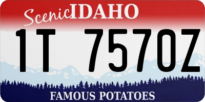 ID license plate 1T7570Z