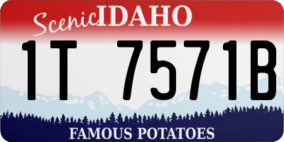ID license plate 1T7571B