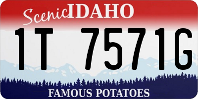 ID license plate 1T7571G
