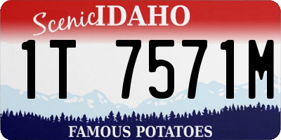 ID license plate 1T7571M