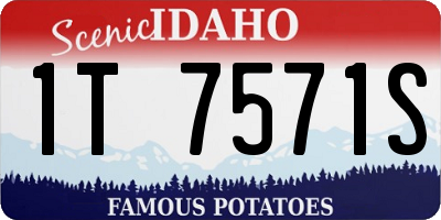 ID license plate 1T7571S