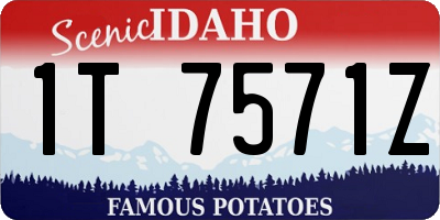 ID license plate 1T7571Z