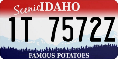 ID license plate 1T7572Z