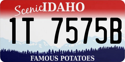 ID license plate 1T7575B