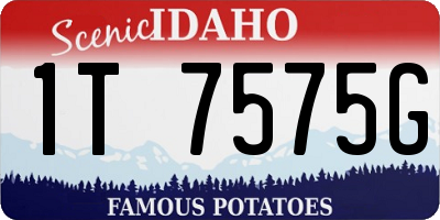 ID license plate 1T7575G