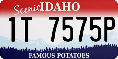 ID license plate 1T7575P