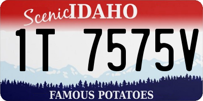 ID license plate 1T7575V