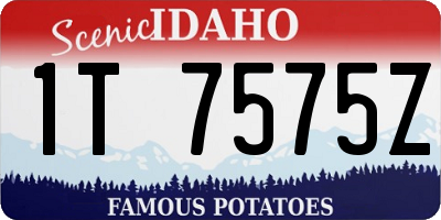ID license plate 1T7575Z