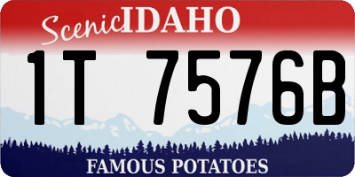 ID license plate 1T7576B
