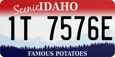 ID license plate 1T7576E