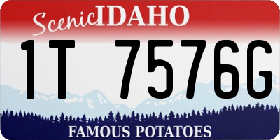 ID license plate 1T7576G
