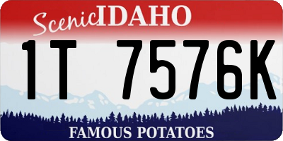 ID license plate 1T7576K