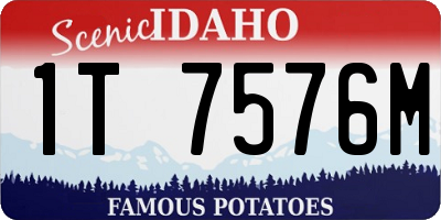 ID license plate 1T7576M