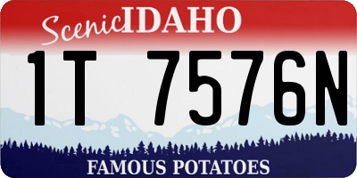 ID license plate 1T7576N