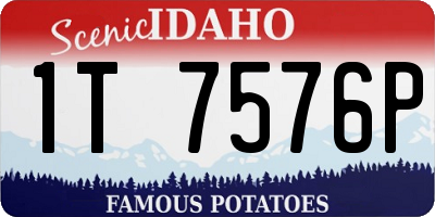 ID license plate 1T7576P