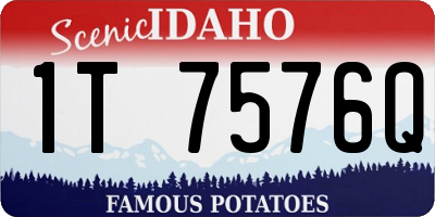 ID license plate 1T7576Q