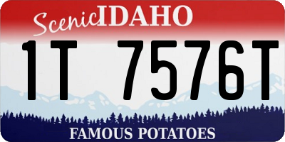 ID license plate 1T7576T