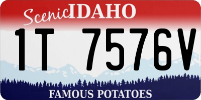 ID license plate 1T7576V