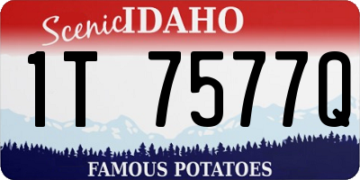 ID license plate 1T7577Q