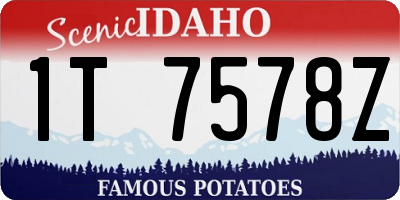 ID license plate 1T7578Z