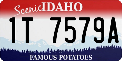ID license plate 1T7579A