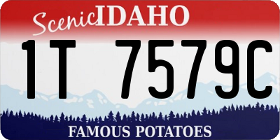 ID license plate 1T7579C