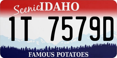 ID license plate 1T7579D