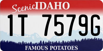 ID license plate 1T7579G