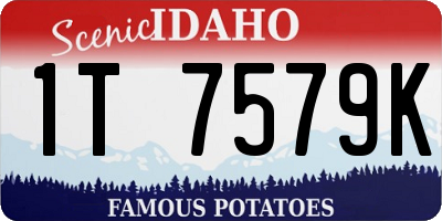 ID license plate 1T7579K