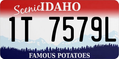 ID license plate 1T7579L