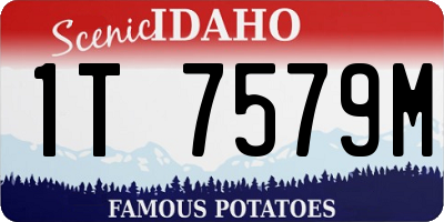 ID license plate 1T7579M