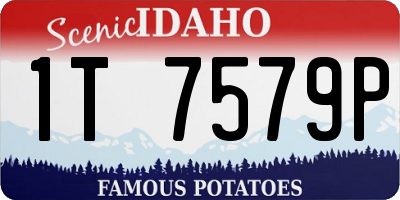 ID license plate 1T7579P