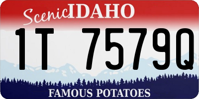 ID license plate 1T7579Q