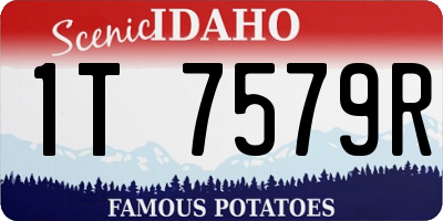 ID license plate 1T7579R