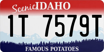 ID license plate 1T7579T