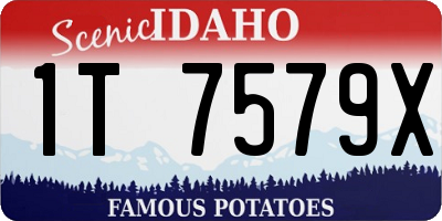 ID license plate 1T7579X