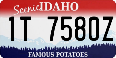 ID license plate 1T7580Z