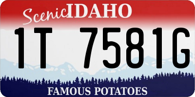 ID license plate 1T7581G