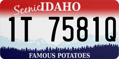 ID license plate 1T7581Q
