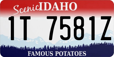 ID license plate 1T7581Z