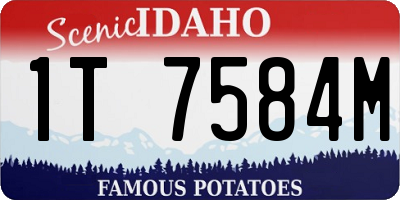 ID license plate 1T7584M