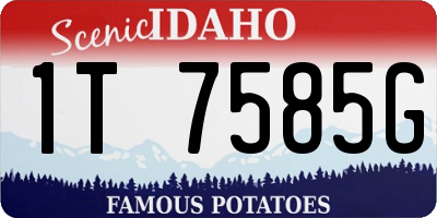 ID license plate 1T7585G