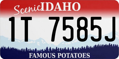 ID license plate 1T7585J
