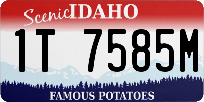 ID license plate 1T7585M