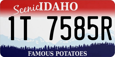 ID license plate 1T7585R