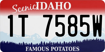 ID license plate 1T7585W