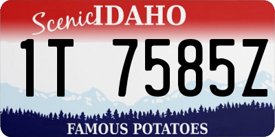 ID license plate 1T7585Z