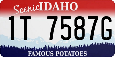 ID license plate 1T7587G
