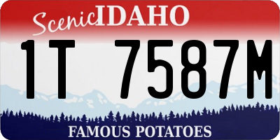 ID license plate 1T7587M